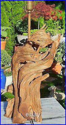 MCM driftwood table lamp vtg organic calif beach art NYC MOD iron wood sculpture