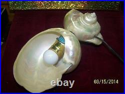 Vintage Art Nouveau Nautilus Sea Shell Table Lamp Nightlight
